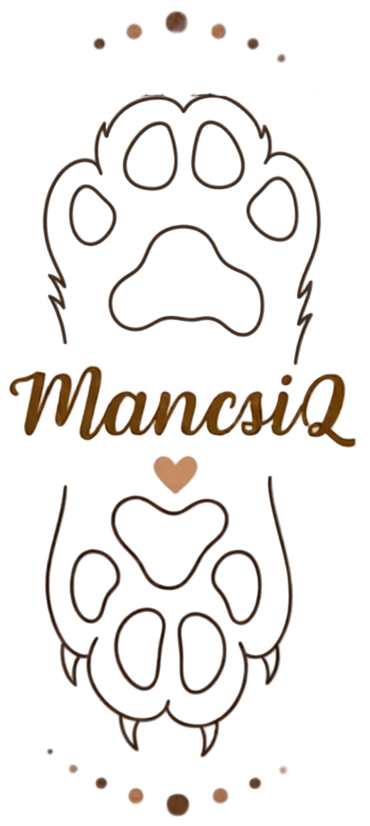 MancsiQ